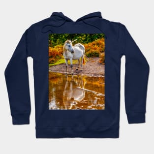 Unicorn Hoodie